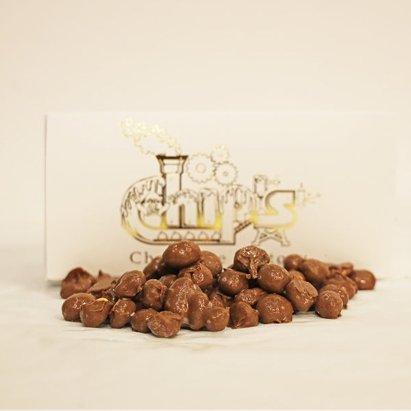1/2lbs. Milk Chocolate Covered Peanuts Chip's Chocolate Factory